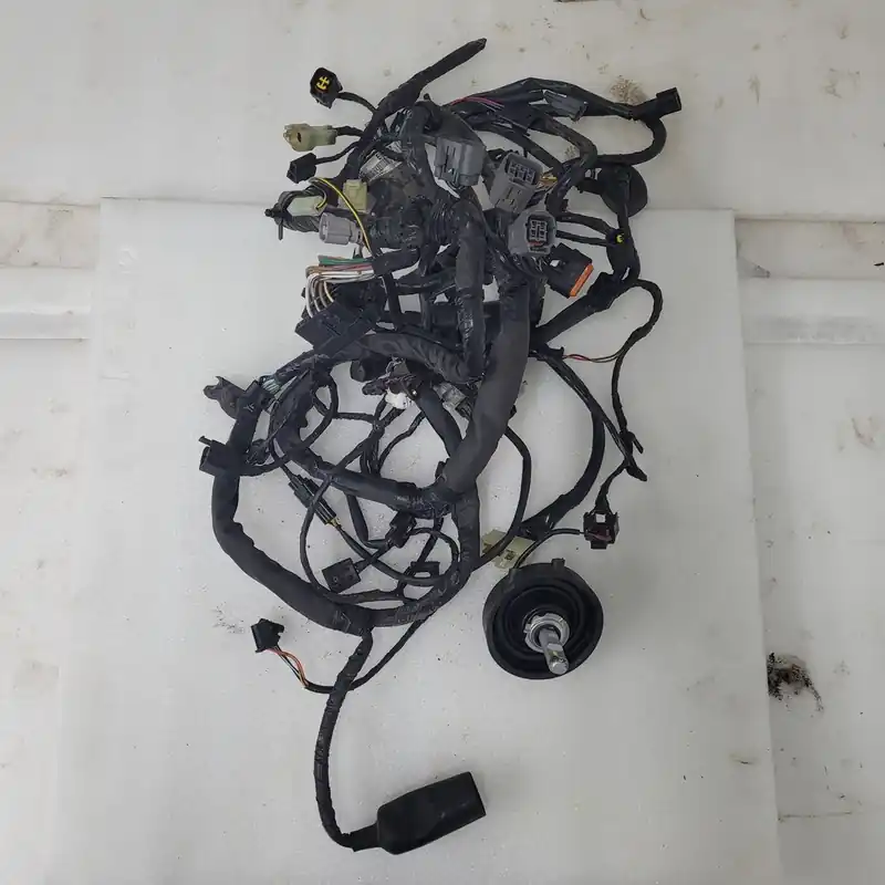 harness,main Garantie Incluse